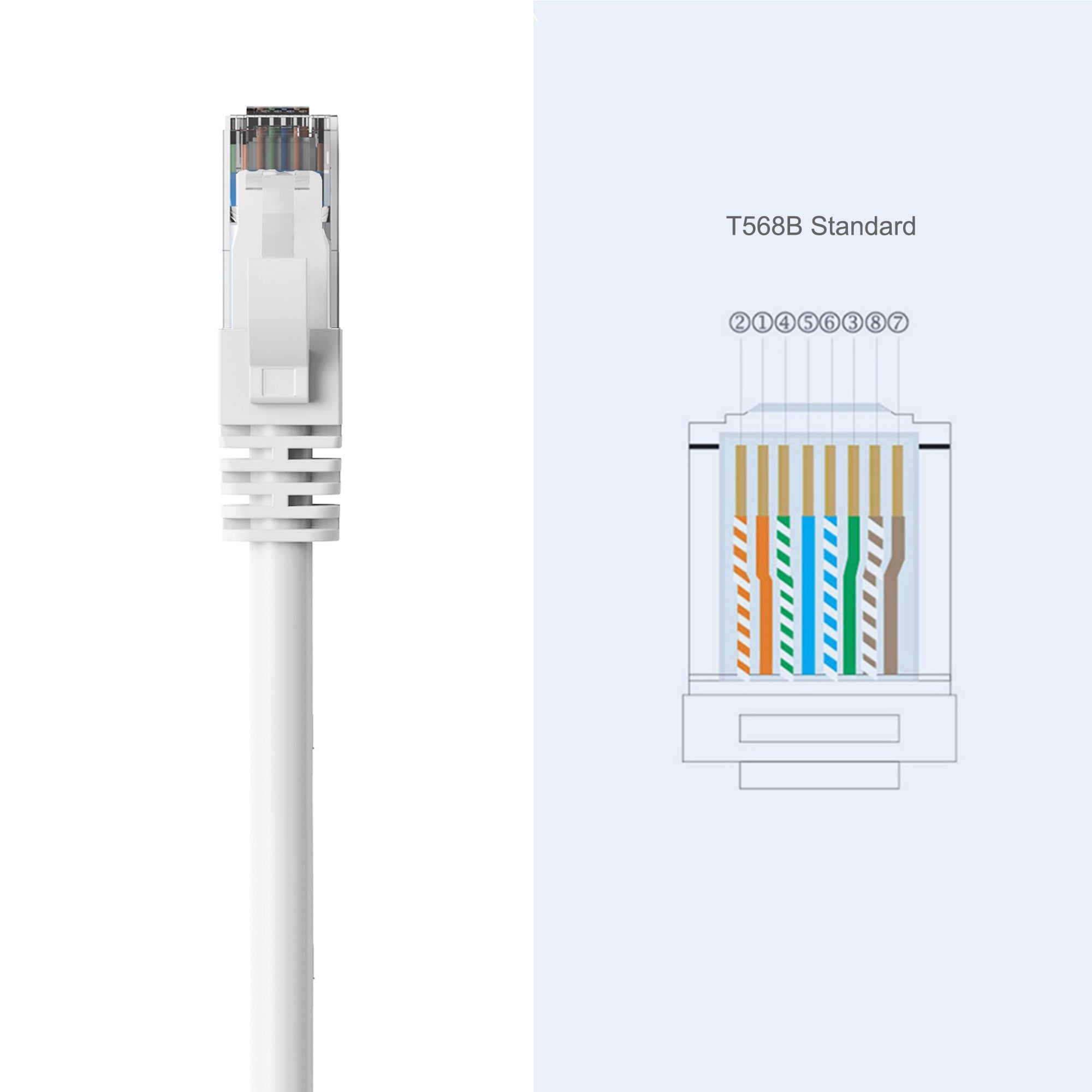 Cruxtec CAT6 UTP 10GbE Ethernet Cable (White 1m) image